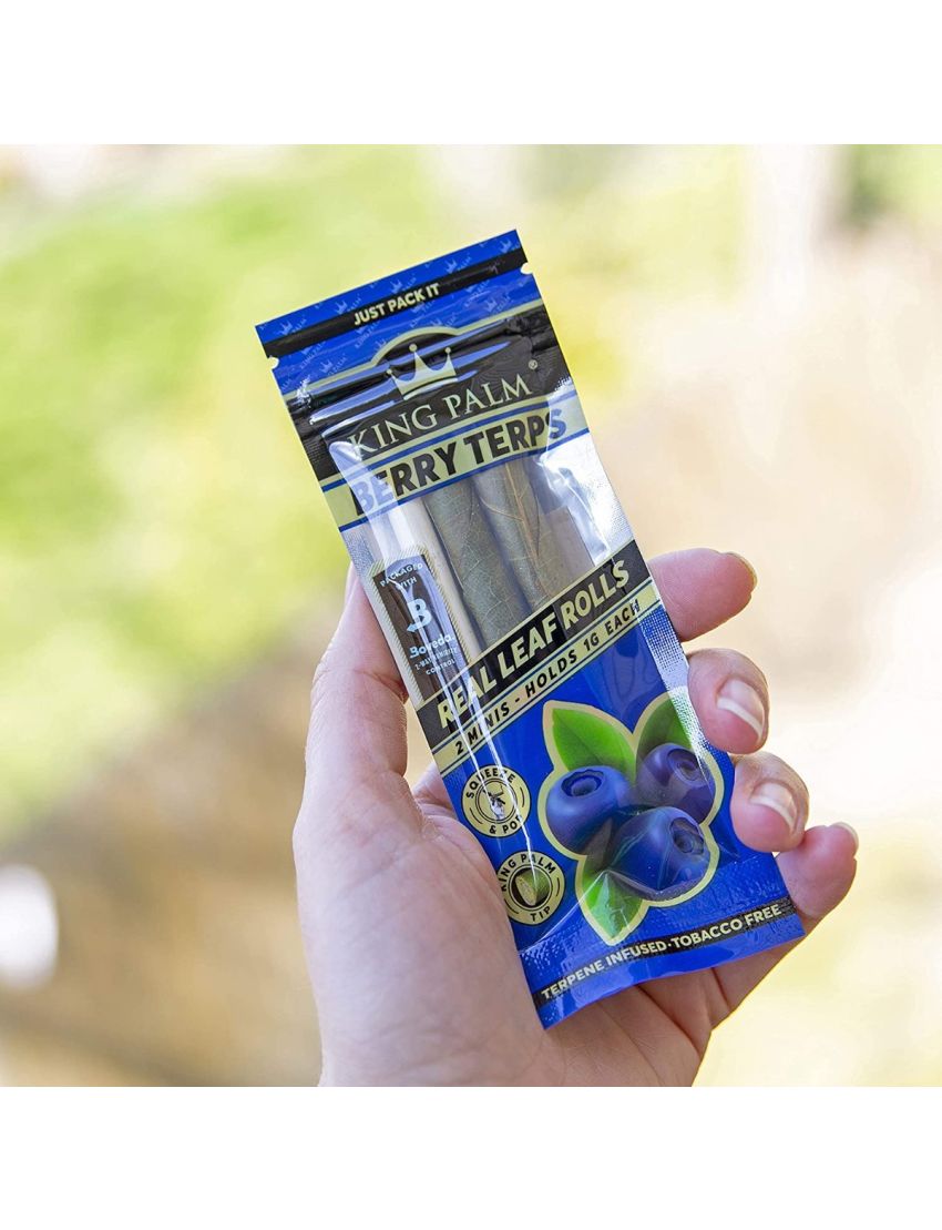 KING PALM MINI 2 PK - 20 CT