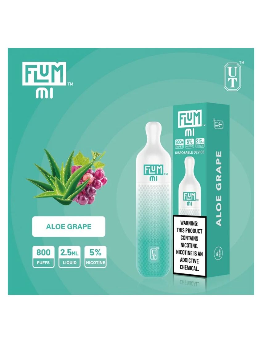 FLUM MI 5% DISPOSABLE DEVICE - 800 PUFFS - 10 PACK