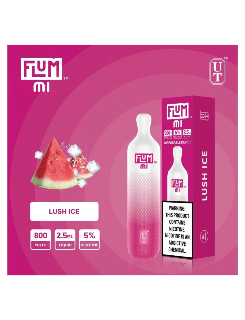 FLUM MI 5% DISPOSABLE DEVICE - 800 PUFFS - 10 PACK