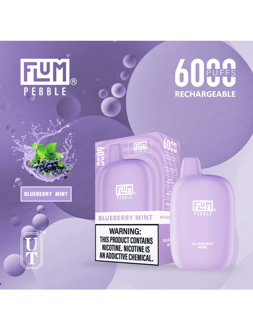 FLUM PEBBLE DISPOSABLE DEVICE 5% 6000 PUFFS 10PK
