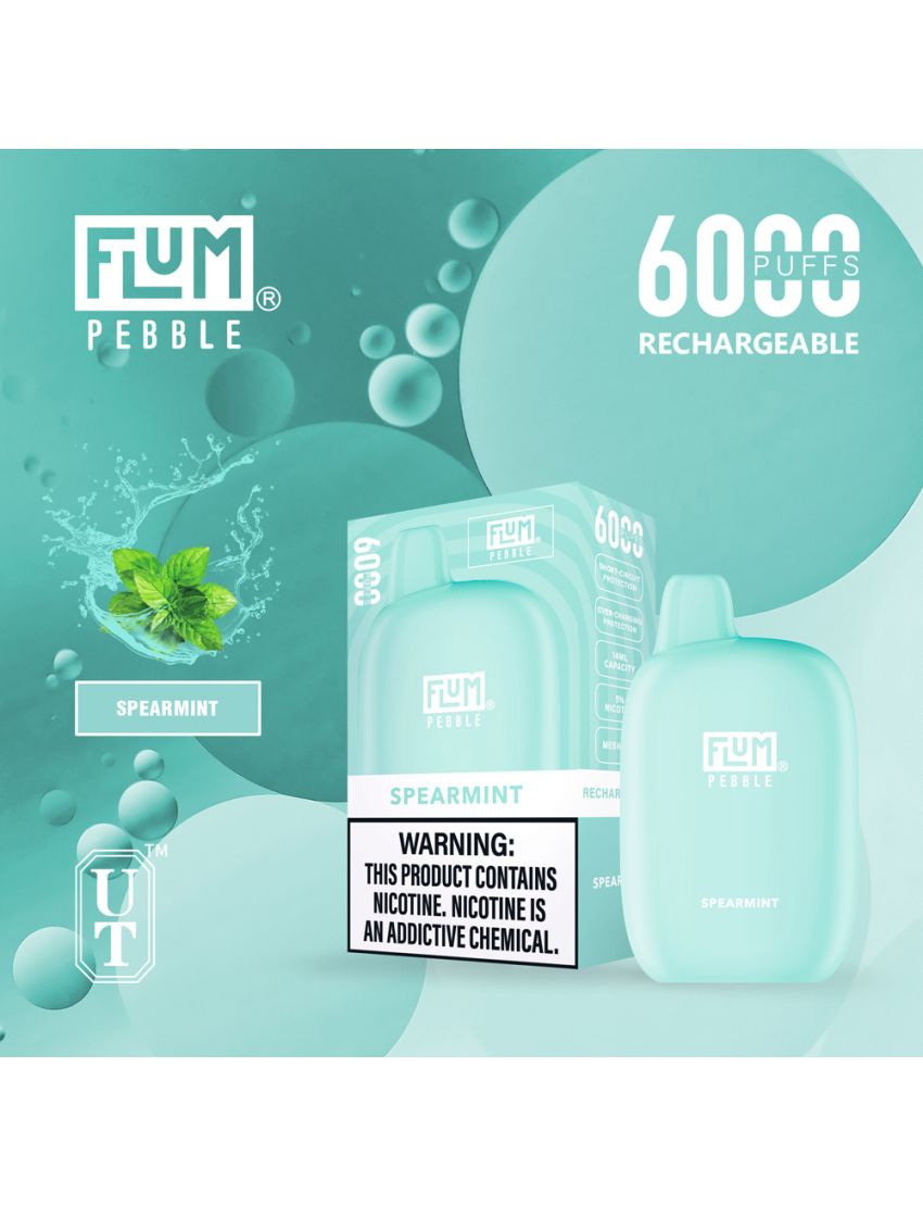 FLUM PEBBLE DISPOSABLE DEVICE 5% 6000 PUFFS 10PK