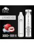 PUFF XTRA LIMITED 5% DISPOSABLE 3000 PUFFS 10PK