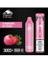 PUFF XTRA LIMITED 5% DISPOSABLE 3000 PUFFS 10PK