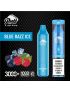 PUFF XTRA LIMITED 5% DISPOSABLE 3000 PUFFS 10PK